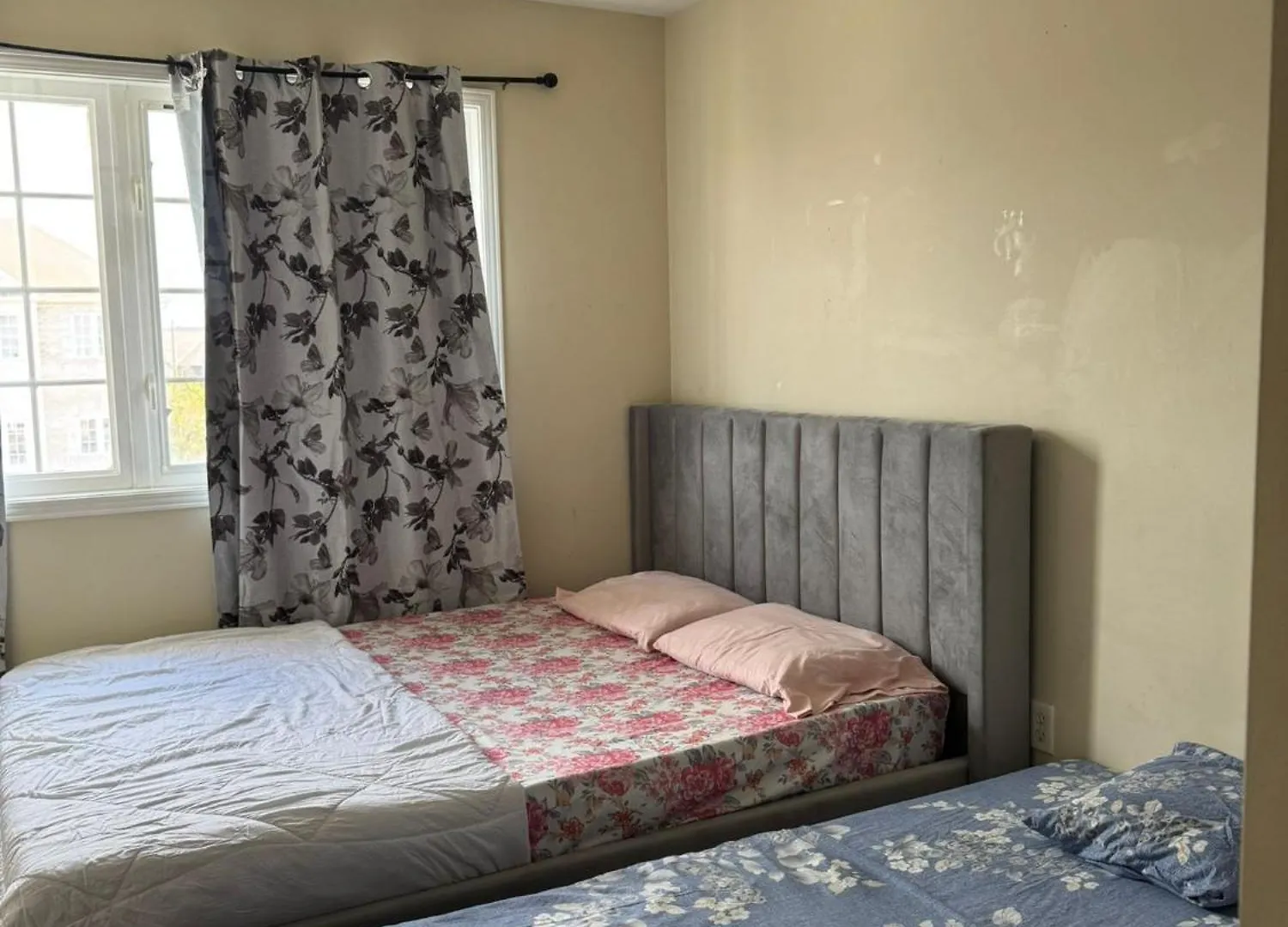 Alloggio in famiglia Toronto Central Bnb- High Speed Internet, Free Parking