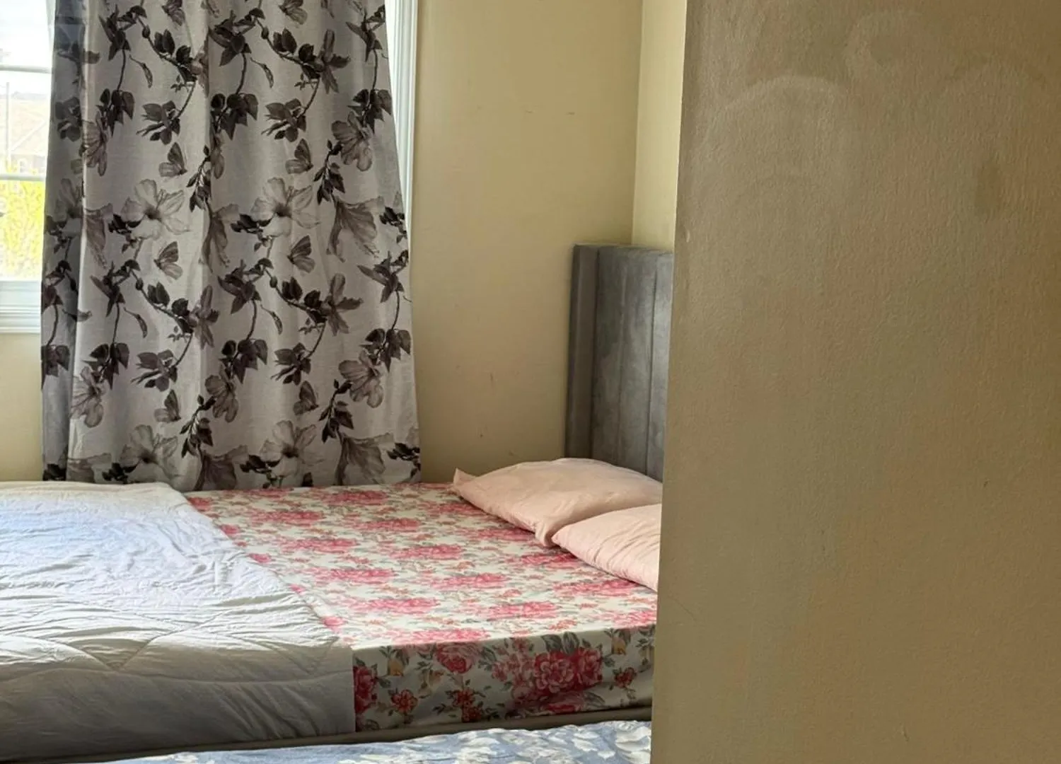 Toronto Central Bnb- High Speed Internet, Free Parking Canada